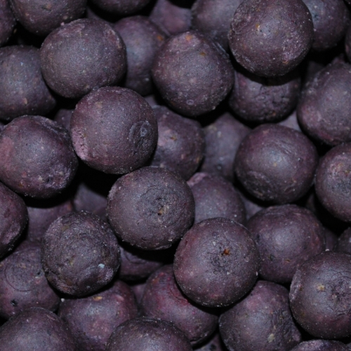 Boilies OCEAN FOOD LINE Tuna Anchovy (tuňák-ančovička) 250g 20mm